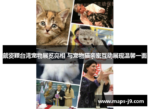 戴资颖台湾宠物展览亮相 与宠物猫亲密互动展现温馨一面